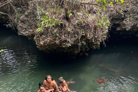 Mnemba: Dolphin &amp; Snorkeling Adventure with Turtle AquariumMnemba Island and Baraka Natural Aquarium