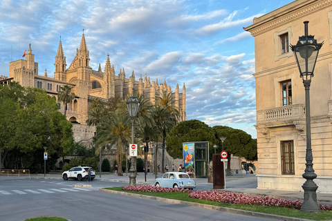 Palma en persona y lejos de las multitudes