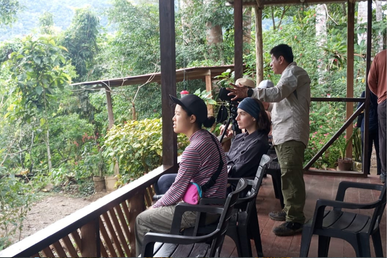 Cusco: 2 Day Manu Amazon Rainforest Wildlife Tour