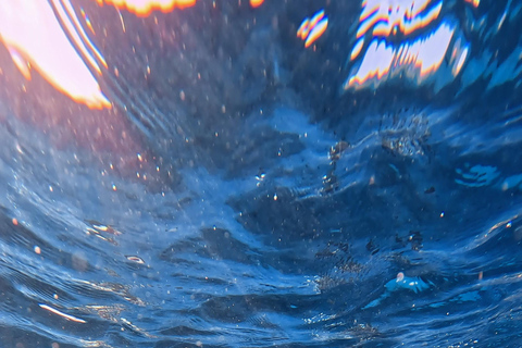 Waikiki : Visite en petit groupe du Turtle Canyon avec masque et tuba