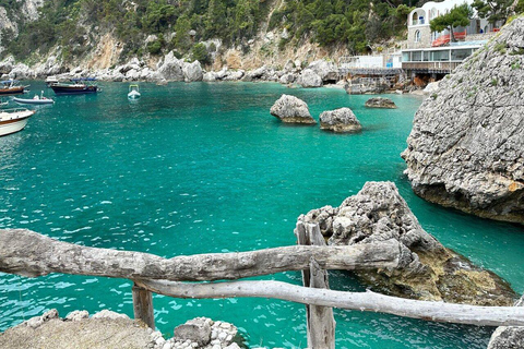 Capri First to Blue Grotto Full Day SmallGroup from Sorrento Private Tour Option