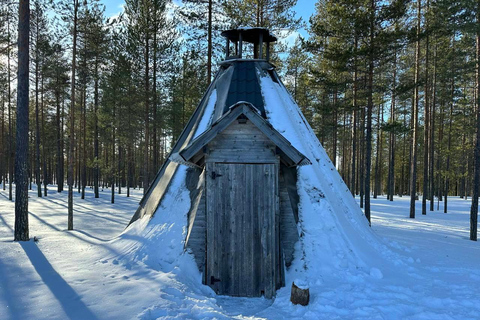 Helsinki: Buggy Ride, Reindeer Farm Visit, and Picnic