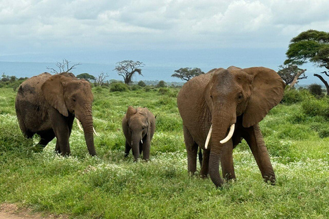 Tour di un giorno del Parco Nazionale di Amboseli e visita al villaggio Maasai