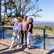 From Sunshine Coast: Hinterland Tour with Lunch & Transfers
