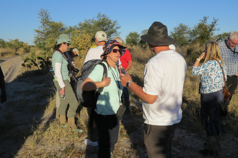 维多利亚瀑布：文化村落与烹饪体验维多利亚瀑布：文化村与烹饪体验