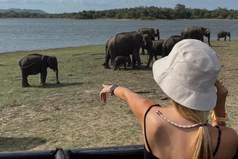 Van Sigiriya :Polonnaruwa Oude Stad Tour/DagtourPolonnaruwa Tour & Minneriya Elephant Safari