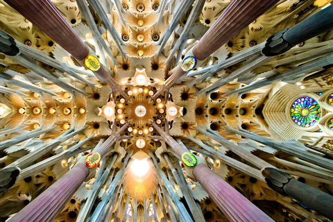 Barcelona in 1 Day: Sagrada Familia & Park Guell with Pickup Barcelona in 1 Day: Tour in Spanish