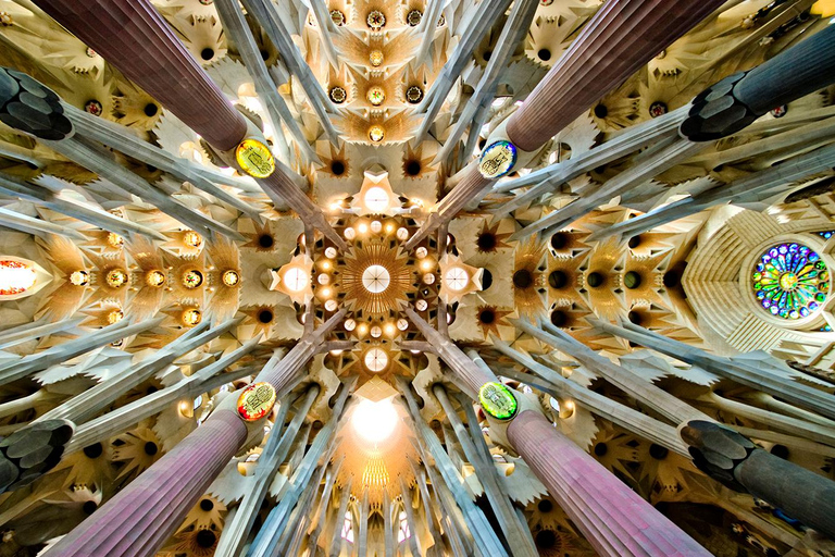 Barcelona in 1 Day: Sagrada Familia & Park Guell with Pickup Barcelona in 1 Day: Tour in Spanish