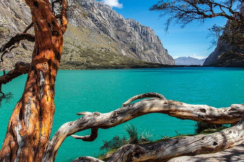 Från Huaraz: Spännande resa till Chinancocha-lagunen