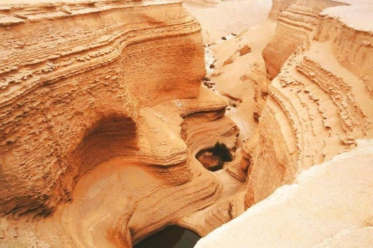 Journée complète au canyon de Los Perdidos à IcaDepuis Ica : Journée complète au canyon Los Perdidos à Ica