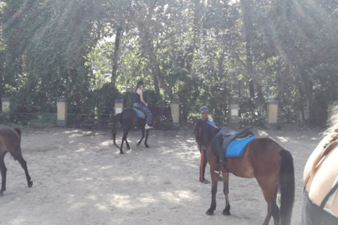 Ubud: 1 Hour Countryside Beach Horse Riding with Transfer Ubud: 1 Hour Countryside Horse Riding with Rice Field View