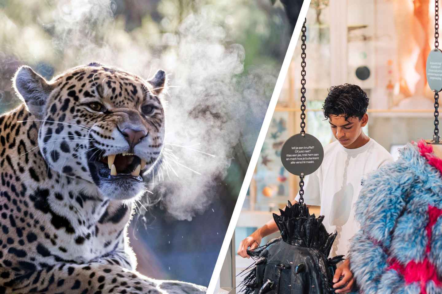 Amsterdam: ARTIS Royal Zoo and ARTIS Groote Museum Ticket