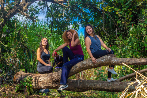 Visite guidée en quad à El Salto de MalacatiupanVisite guidée en quad avec découverte de la cascade de Malacatiupan