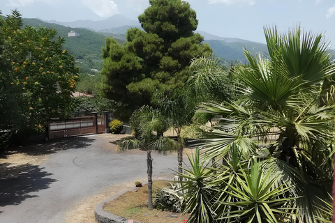 Zafferana Etnea:Honey extraction workshop and honey tasting Tour for 2 people