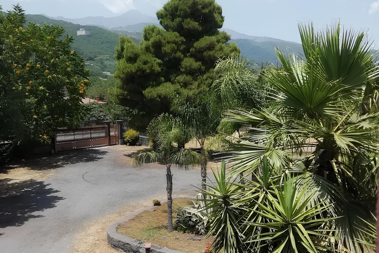 Zafferana Etnea:Honey extraction workshop and honey tasting Tour for 2 people