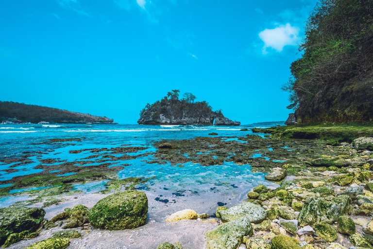 Nusa Penida: Private Island Tour All Include Shuttle & Lunch Private Tour West Penida All Includes Shuttle Hotel in Bali