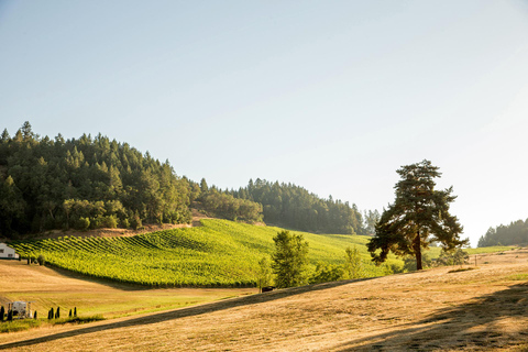 Umpqua Valley, OR: Digital Wine Tasting Pass 7-Day Wine Tasting Pass