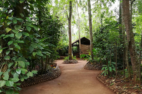 Kandy: Tuk-Tuk Tour with Batik Workshop and Spice Garden