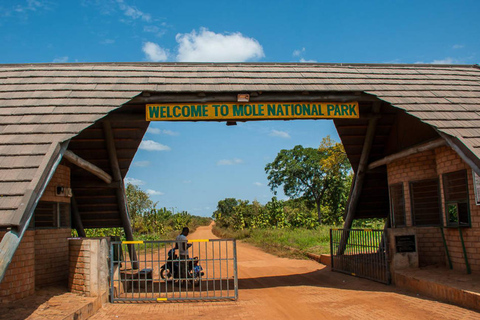 Accra: Guided 10-Day Panafest Festival 2025 Tour