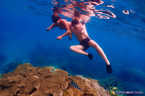 Koh Tao: Excursão de um dia com mergulho com snorkel nas ilhas e almoçoKoh Tao: Ilhas Snorkeling Destaques Day Tour &amp; Almoço
