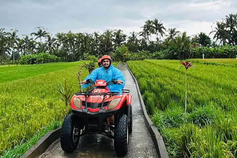 Ubud: ATV Quad Adventure with Gorilla Cave and Lunch