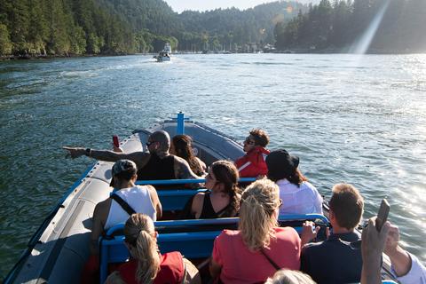 Vancouver: Boot naar Bowen Island aan de UNESCO Howe Sound FjordBoot naar Bowen Island, inclusief bier, wijn, koffie of ijs