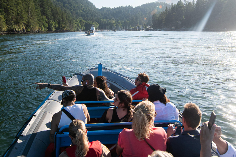 Vancouver: Boot naar Bowen Island aan de UNESCO Howe Sound FjordBoot naar Bowen Island, inclusief bier, wijn, koffie of ijs