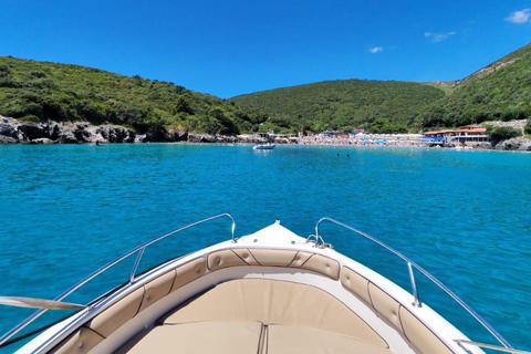 Budva Riviera Speedboat Tour (group tour,2h) Budva Riviera boat tour