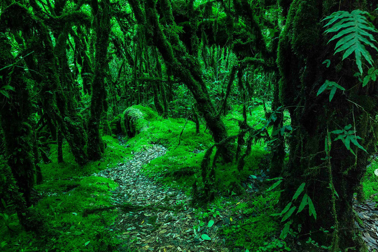 Doi Inthanon Nationaal Park &amp; Wandelen Kew Mae Pan Natuurpad