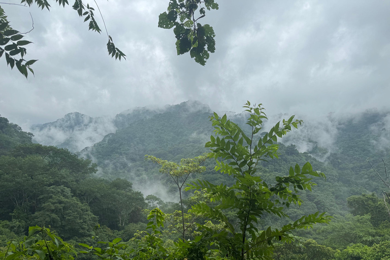 Bijagual Jungle Waterfall Hike & Herradura Beach Adventure