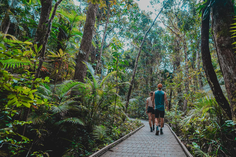 Cape Tribulation : Visite nocturne de la forêt tropicale de Daintree