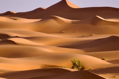 From Marrakech: 10-Day Morocco Highlights Tour