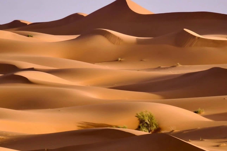 From Marrakech: 10-Day Morocco Highlights Tour