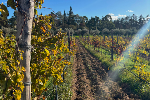 Athens: Athens Wine tour with Wine Tasting at local Winery Athens: Private Wine Estate Tour with Wine Tasting