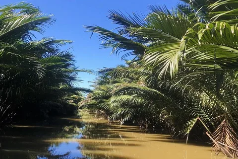 Ben Tre: visita la región del delta del Mekong: un tour de día completo