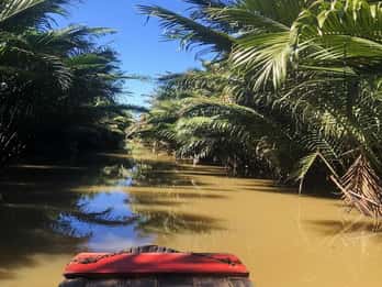 Ben Tre: odwiedź region delty Mekongu