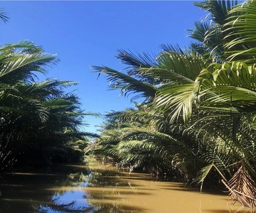 Ben Tre: visita a região do delta do Mekong - excursão de 1 dia