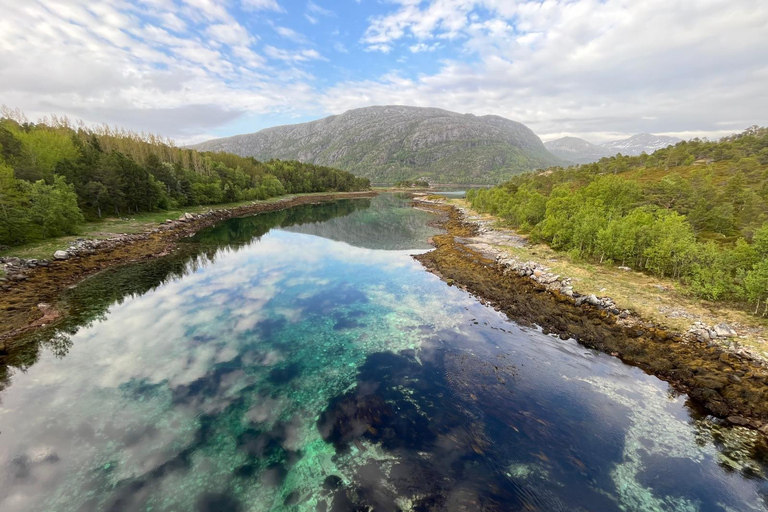 Narvik/Harstad : Excursion d&#039;une journée dans les Fjords avec arrêt à la ferme des rennes