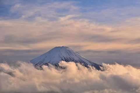 From Tokyo : Mount Fuji Private Day Trip with Hotel Pickup Mount Fuji & Hakone Customize Tour With English Guide