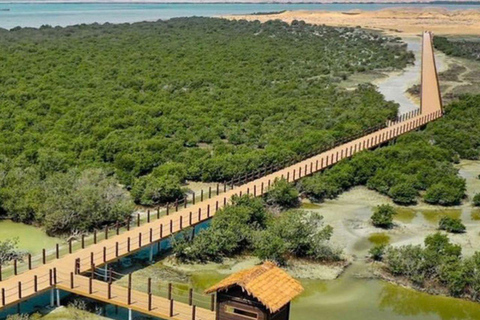 الدوحة: جولة إيكولوجية بصحبة مرشد في غابة المفرق المانغروفالدوحة: جولة إيكولوجية بصحبة مرشدين في غ