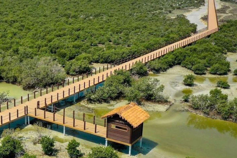 الدوحة: جولة إيكولوجية بصحبة مرشد في غابة المفرق المانغروفالدوحة: جولة إيكولوجية بصحبة مرشدين في غ