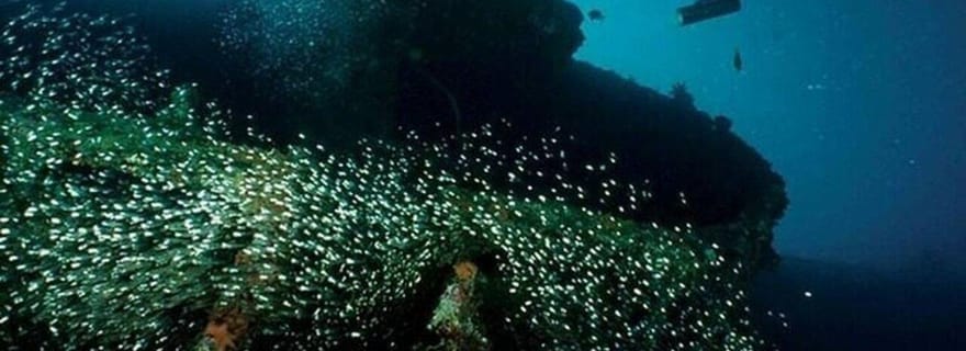 Plongée sous-marine à Pasikudah