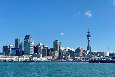 Auckland: Scenic Wine and Cheese Harbour Cruise