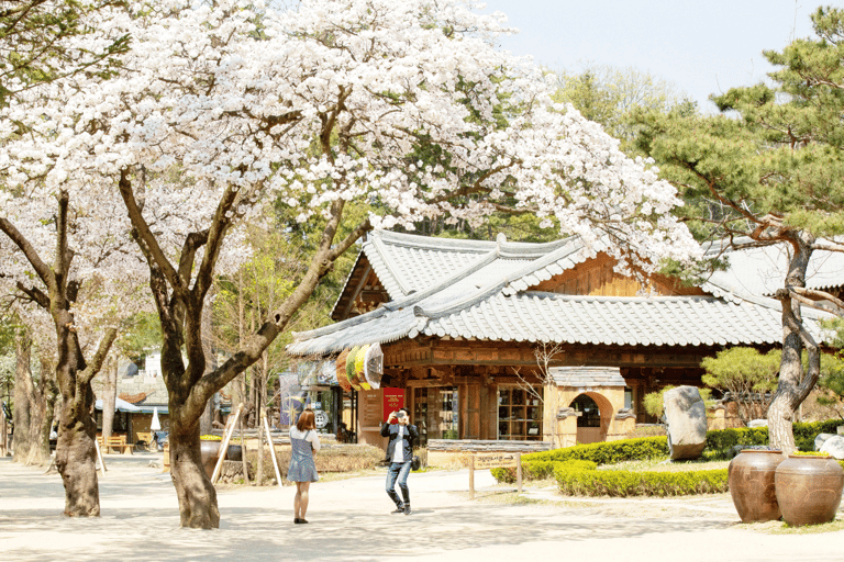 Seoul: Samaksan linbana &amp; Nami med Alpaca World/Railbike