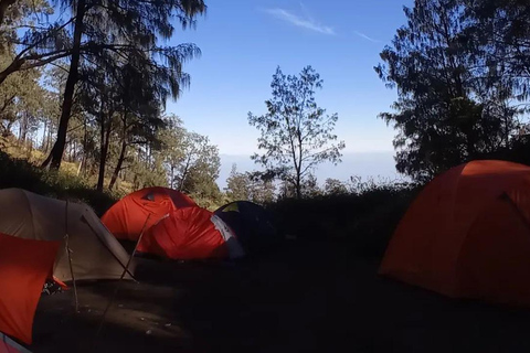 Yogyakarta: Mount Lawu 3-Day Trekking and Camping Tour