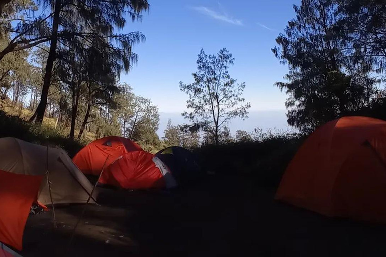 Yogyakarta: Mount Lawu 3-Day Trekking and Camping Tour