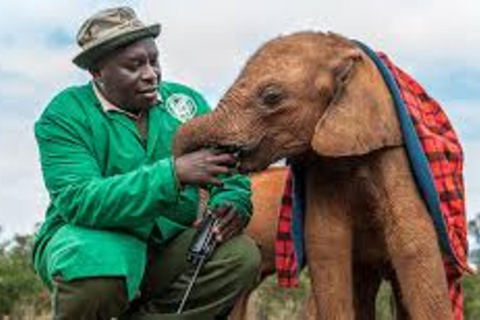 Nairobi : Visite privée du David Sheldrick Wildlife Trust