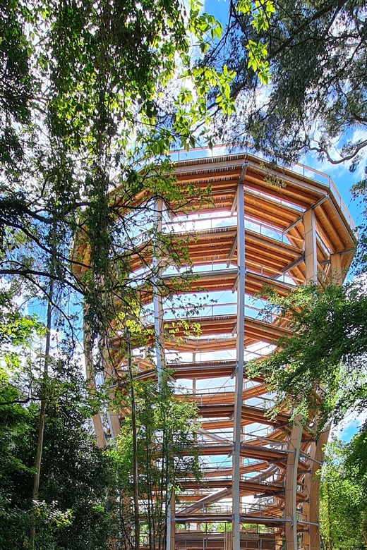 ツリートップ・ウォーク＆展望タワー：個別入場チケット | GetYourGuide