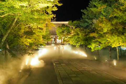 Ninnaji Temple: Special Entry for Unkai Light-up & Kannon-do Unkai (cloud sea) Light-up Entry Ticket