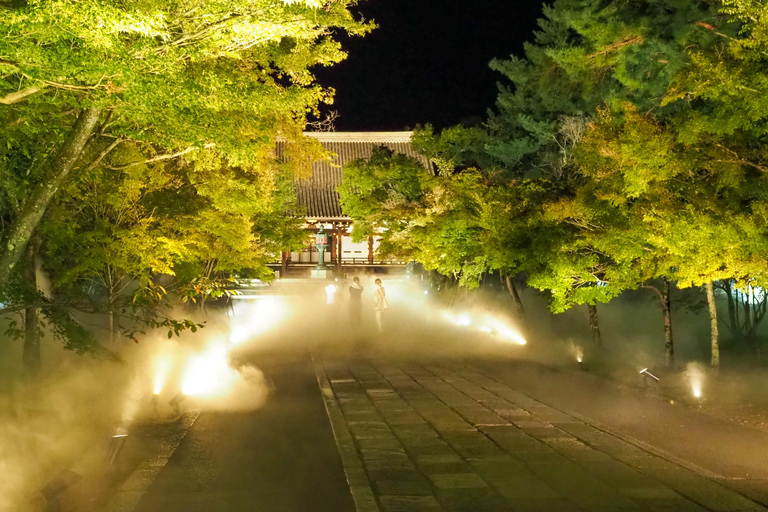 Ninnaji Temple: Special Entry for Unkai Light-up & Kannon-do Unkai (cloud sea) Light-up Entry Ticket